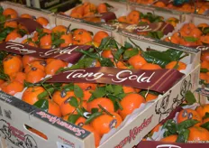 Tang-Gold Mandarinen der Marke Sonnenkinder